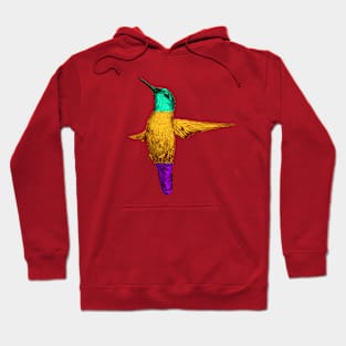 Hummingbird Hoodie